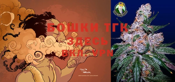 PSILOCYBIN Покров